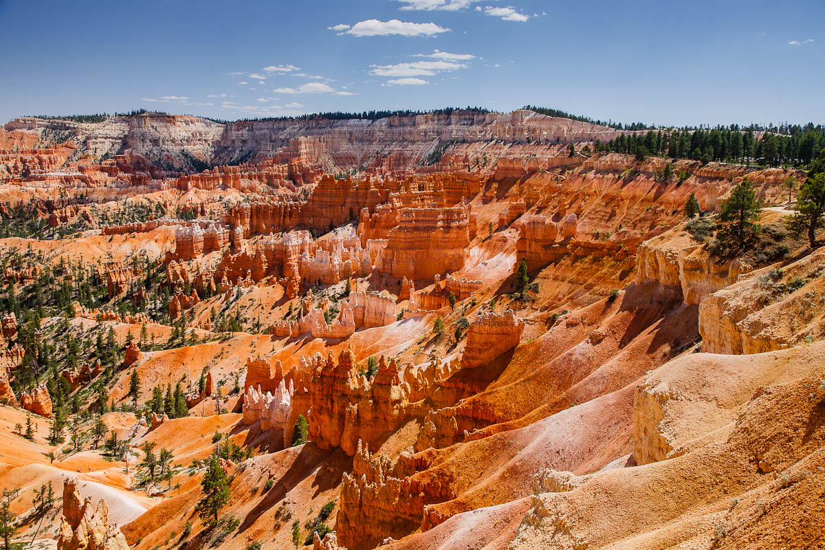 _MG_8247.JPG