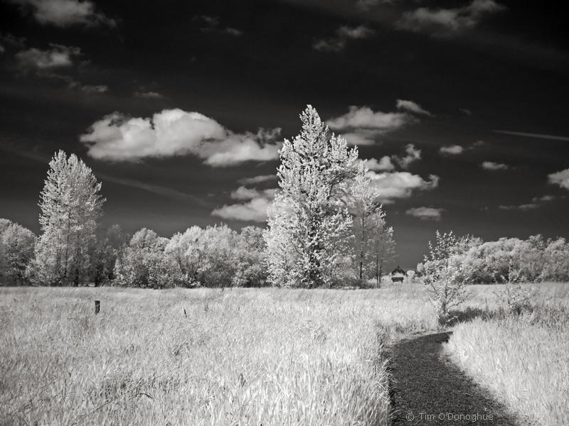 Tennant Lake Trail