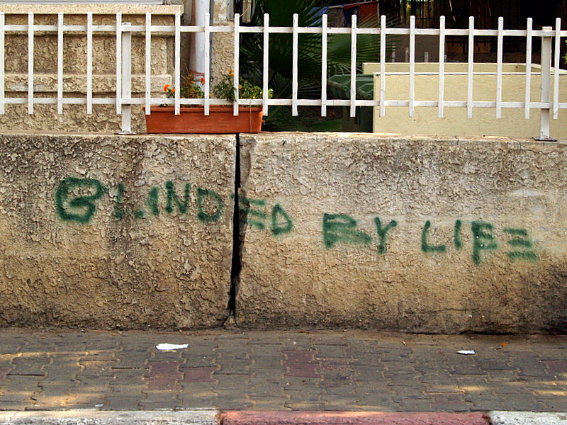blinded by life.JPG
