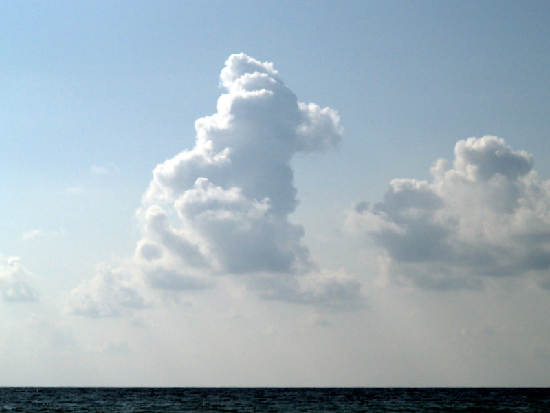 clouds dog shape.JPG