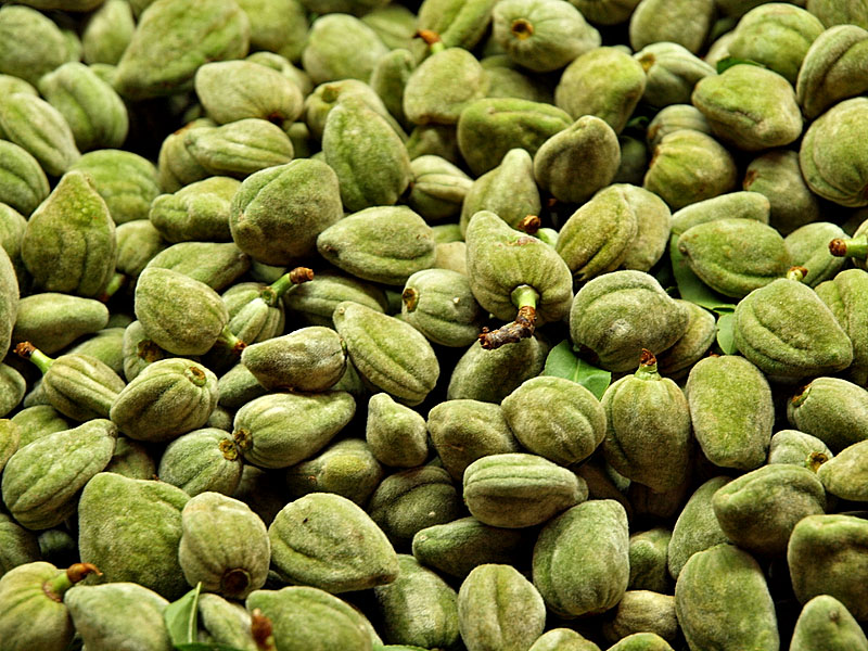 green almonds2.jpg