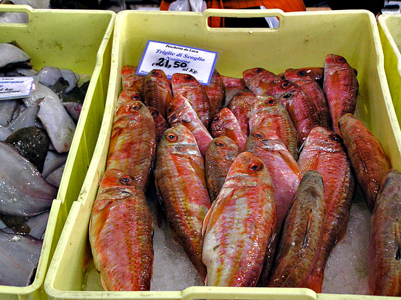 mod - P4300011 fish.jpg