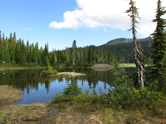 Small lake at Paradise Meadows 1a.JPG