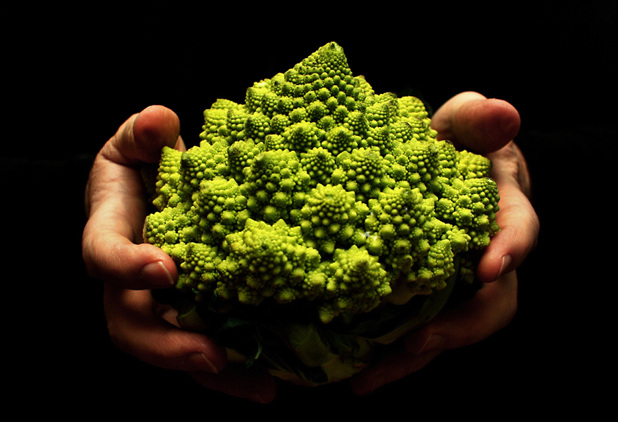 fractal broccoli