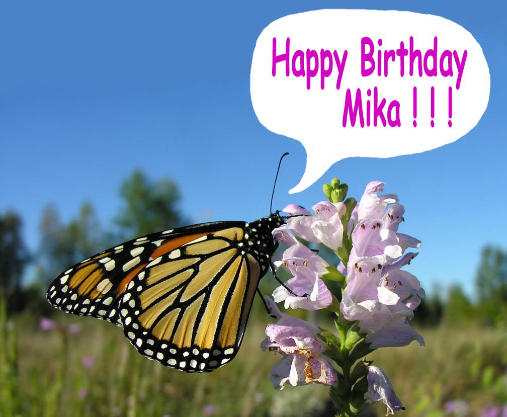 Happy Birthday Mika