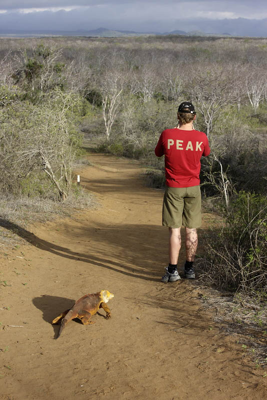 Dont be afraid, Im here. Santa Cruz Island