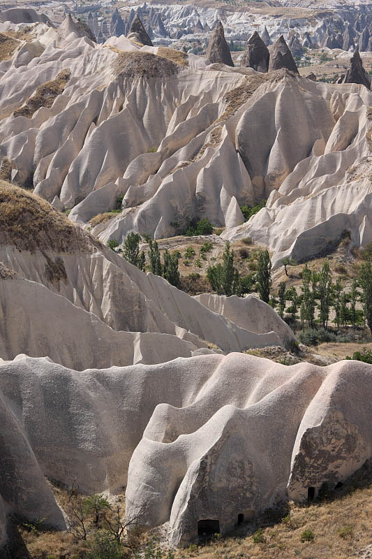 Rose Valley