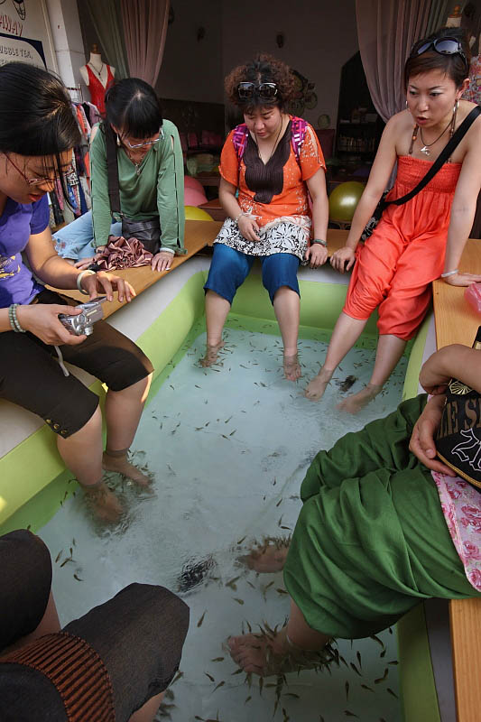 Fish foot massage, Siem Reap