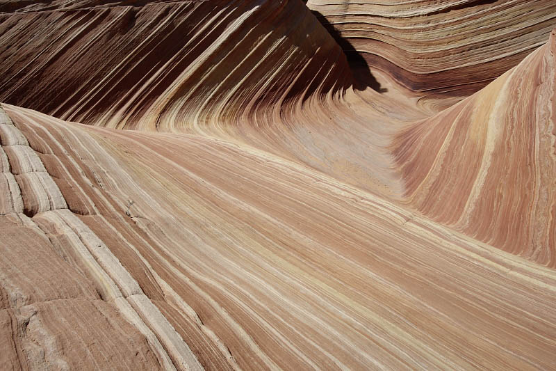 The Wave
