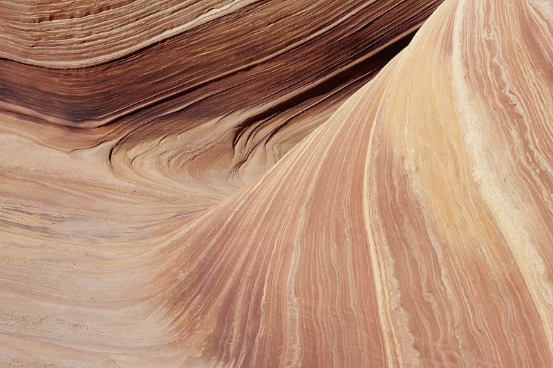 The Wave