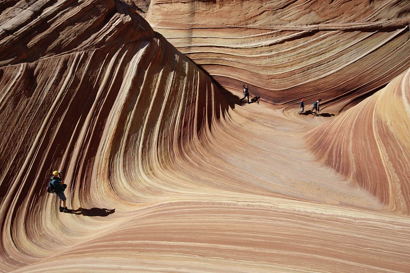The Wave