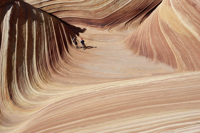 The Wave