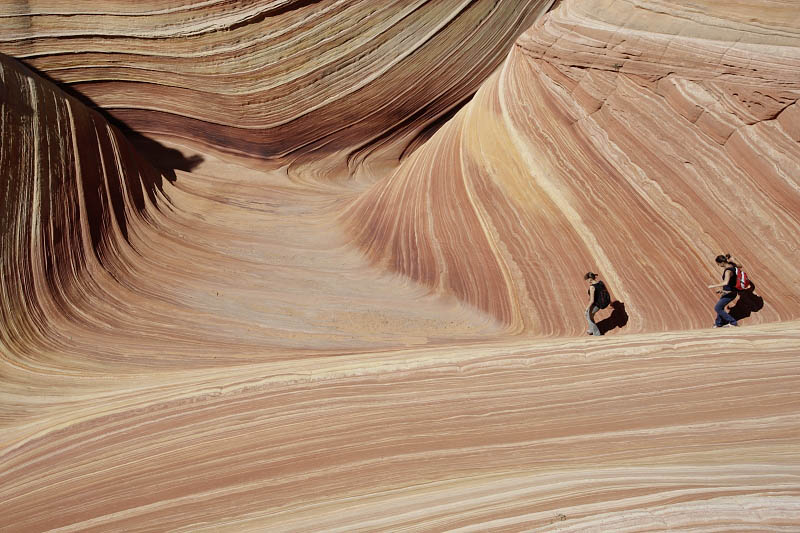The Wave