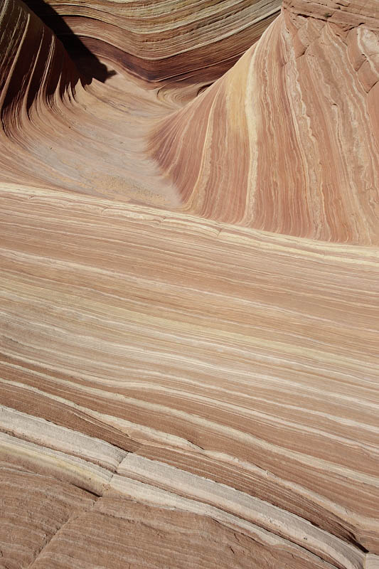 The Wave