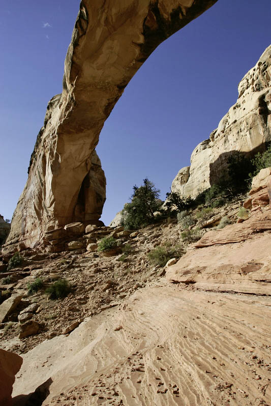 Hickman Bridge