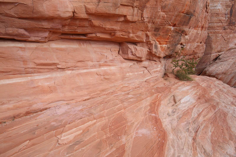 White Domes Trail