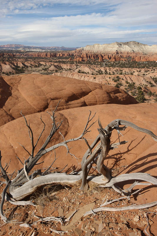 Slickrock Cutoff Trail