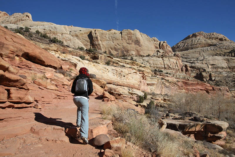 Hickman Bridge Trail
