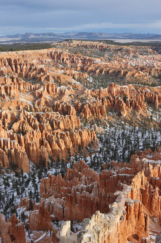 View from Bryce Point
