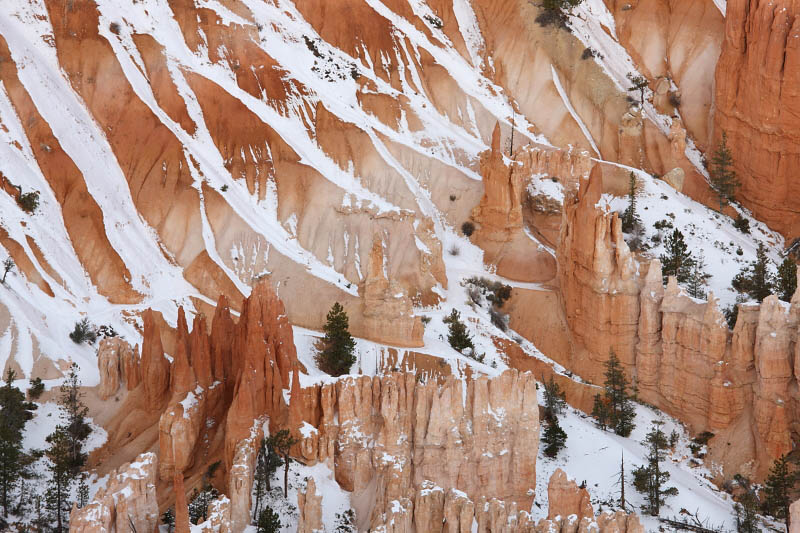 View from Bryce Point