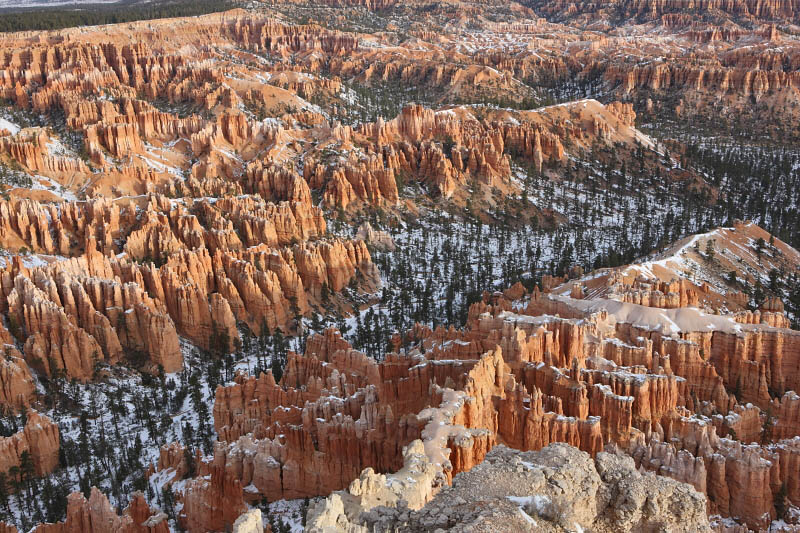 View from Bryce Point