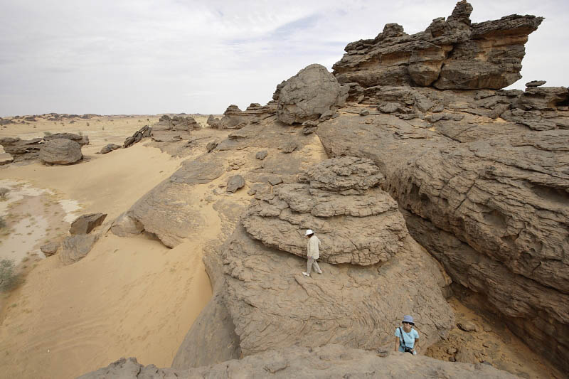 The first day in the desert
