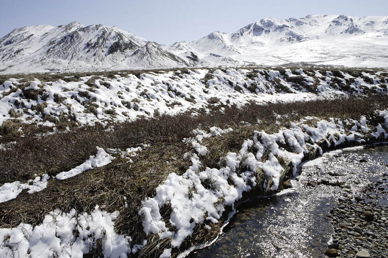 Denali National Park