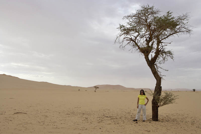 Early morning at the desert