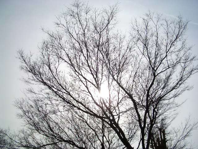 0303-31.JPG