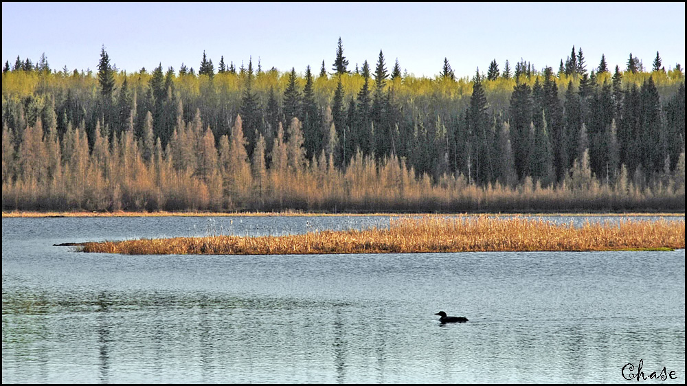 machesis lake