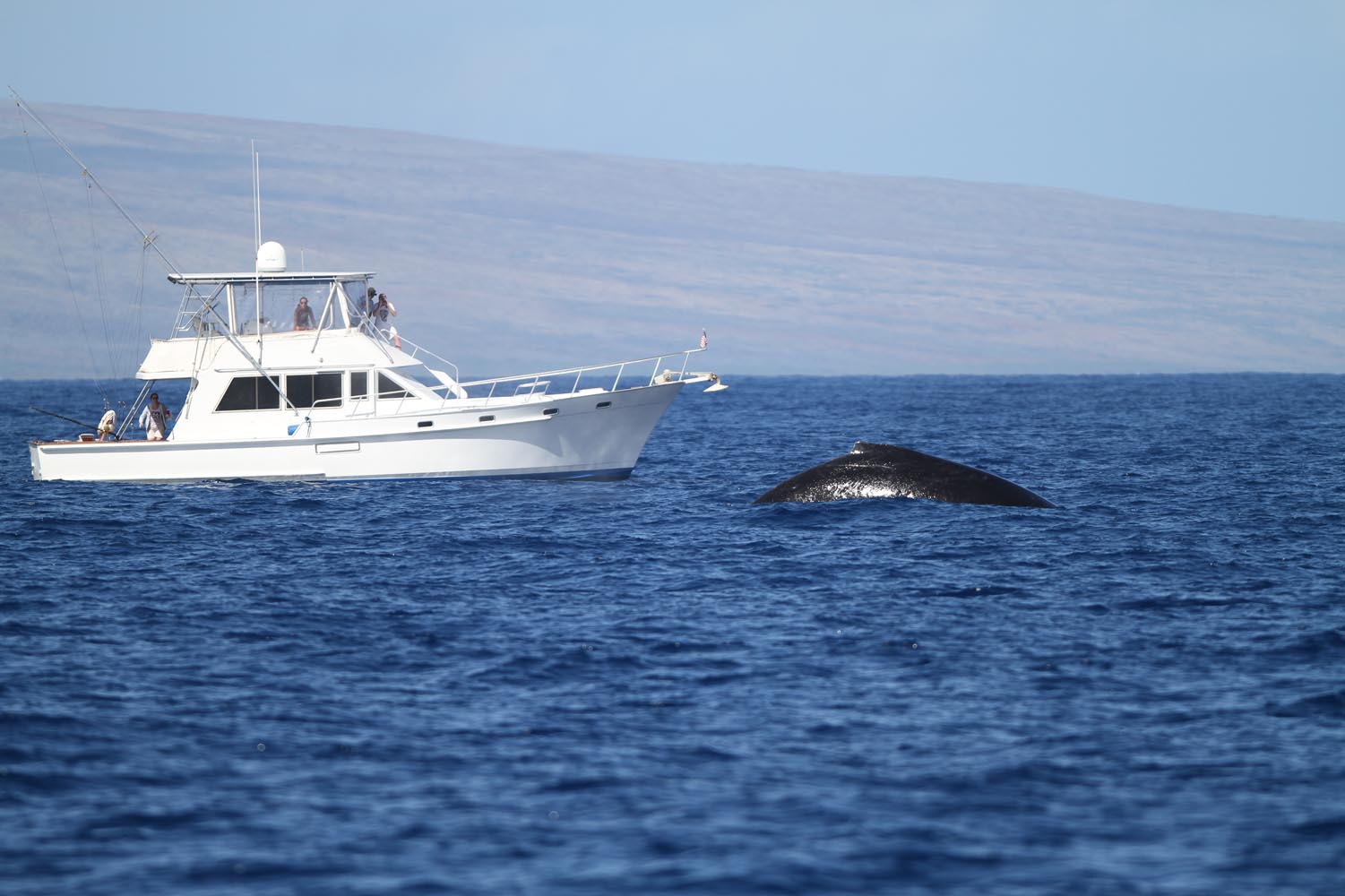 Maui 2010_03022010_076.jpg