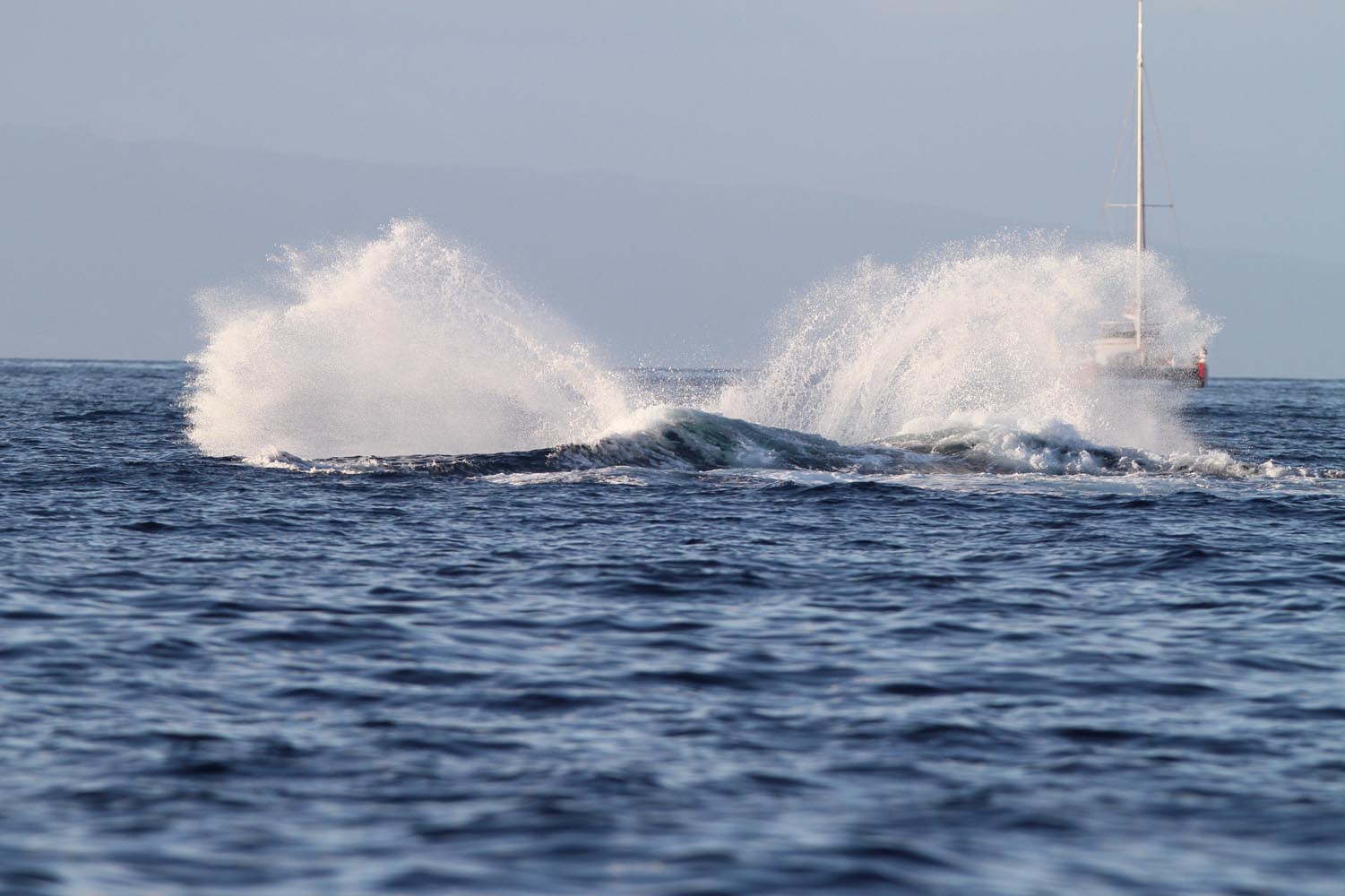 Maui 2010_03052010_292.jpg