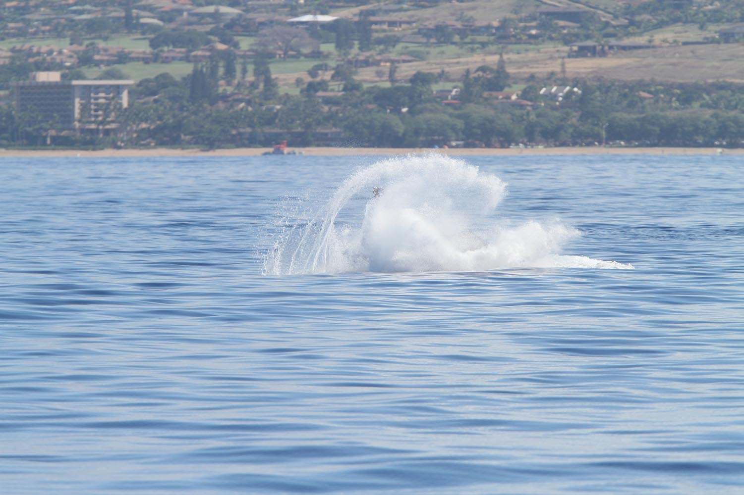 Maui 2010_03072010_546.jpg