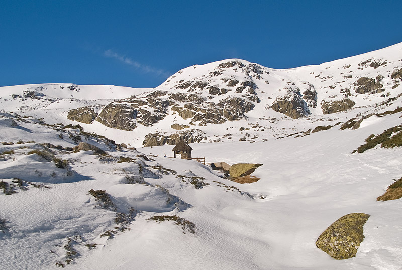 Nevado / Snowy