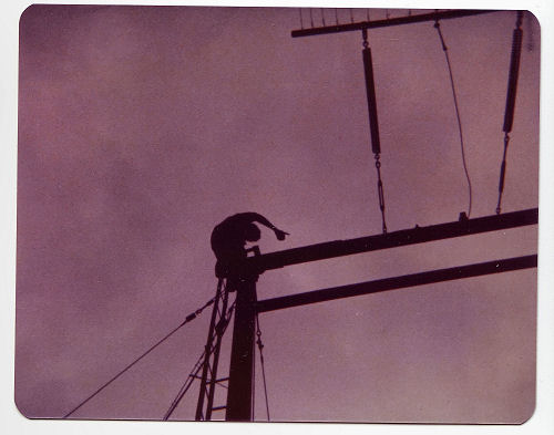 Climbing the signal at Eggleston Tunnel, 1977