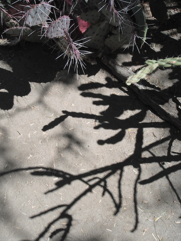 DSCF2822.JPG