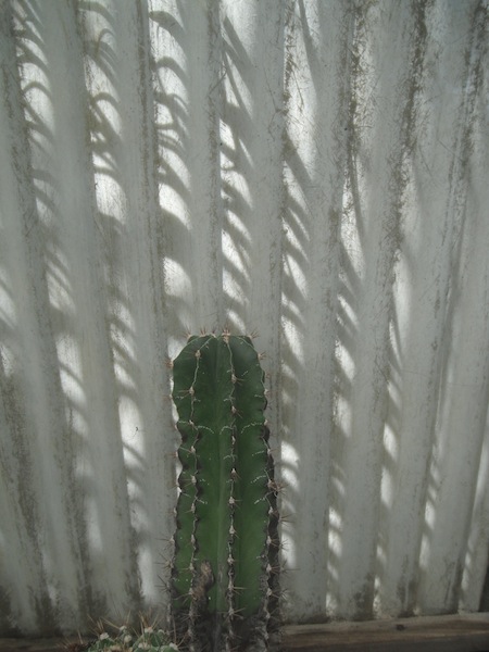 DSCF2864.JPG