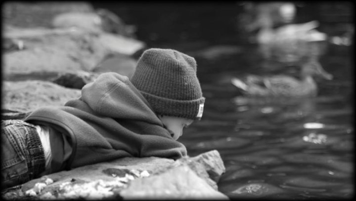 Beacon Hill Park, Victoria, BC - feeding the ducks, 21 months old