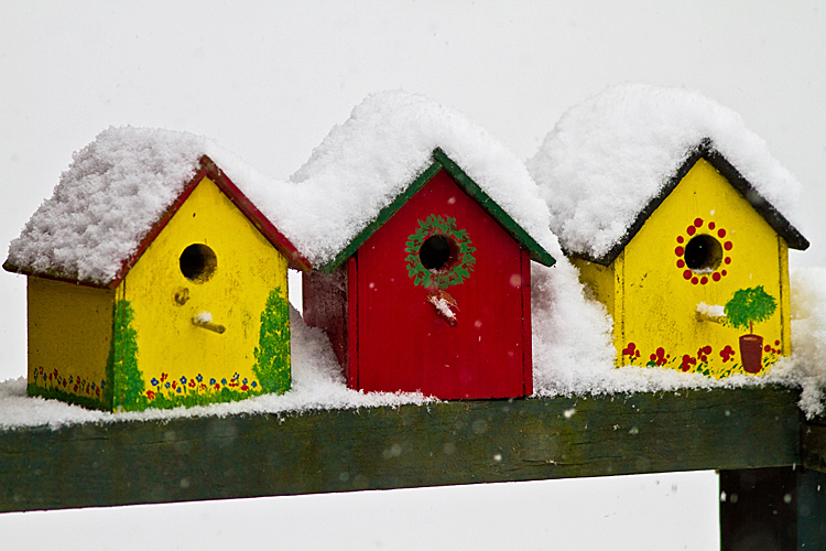Birdhouses in Snow.jpg