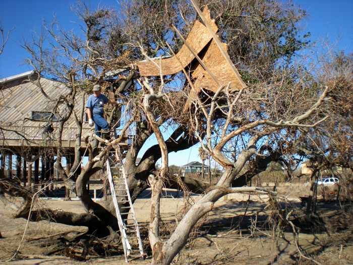 Old ladder, old rope, old roof, old tree, old man.