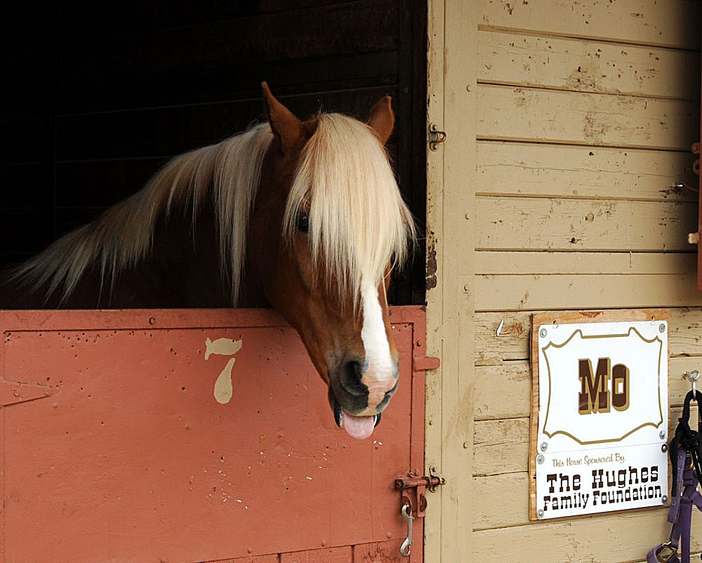 MO