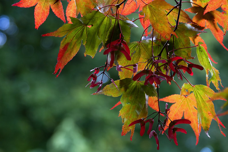 Autumns Arrival!