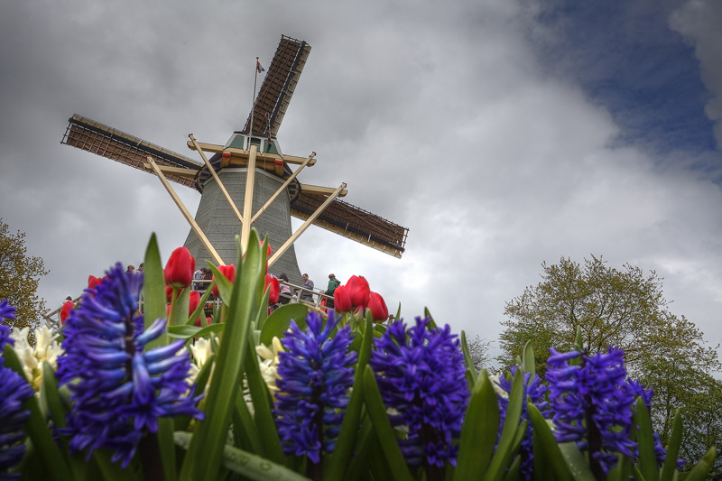 Keukenhof Windmill
