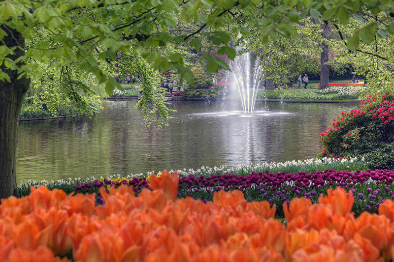 Keukenhof  Kaleidoscope