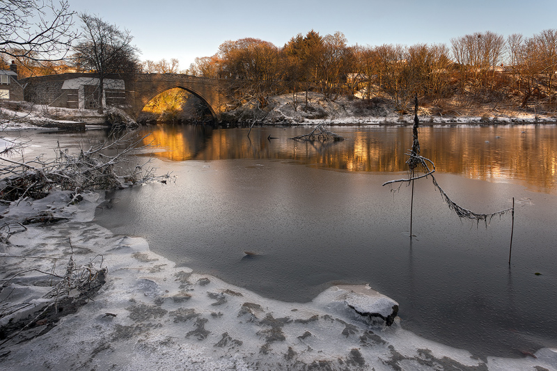 Winters Gold