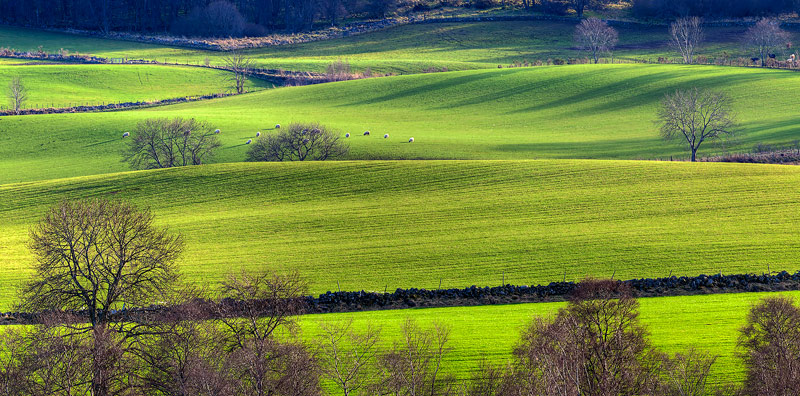 Rolling Greens