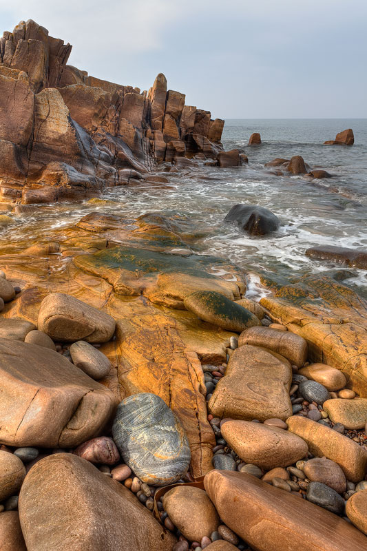 Rugged Moray