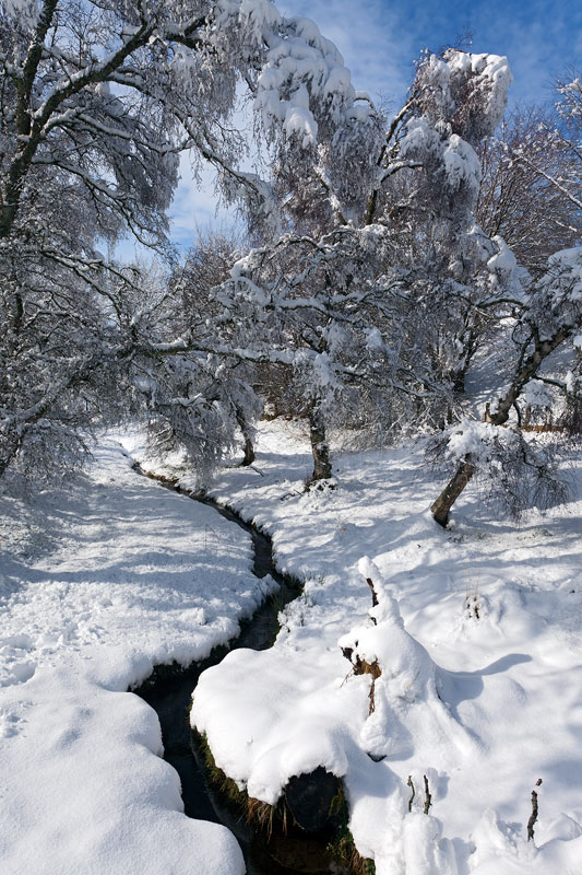 Aviemore Winterland