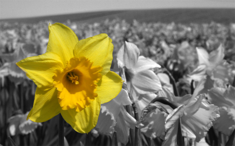 Spring is Here at Last!