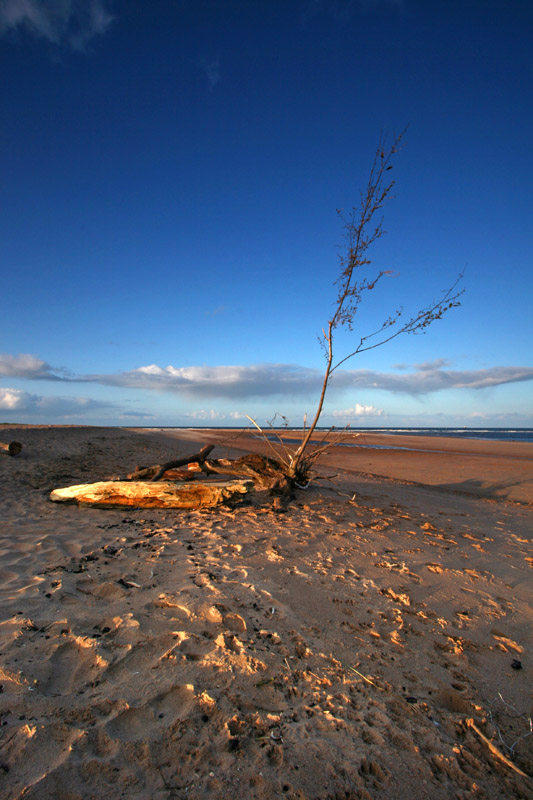 Aberdeen<br>Donmouth